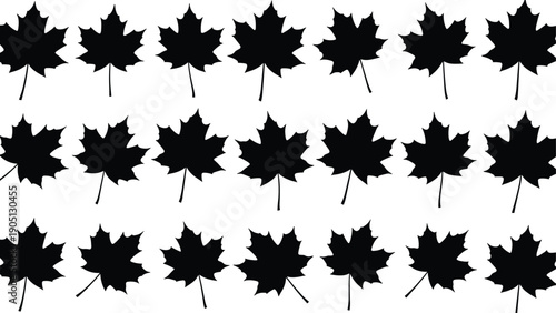 Collection of maple leaf silhouettes, autumn foliage icons, Canadian symbol symbols, fall season nature elements, deciduous tree leaf silhouettes for graphic design.