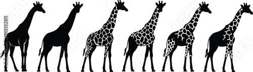 Evolution of Giraffe Silhouette Pattern Illustration Set with Solid Black to Detailed Geometric Spotted Designs Isolated on White Background for Wildlife Art Projects