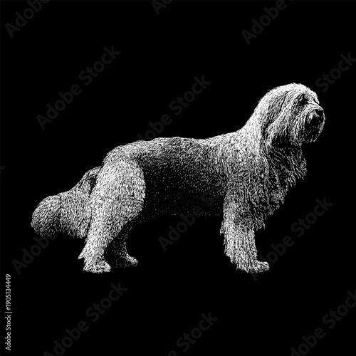 Hand-drawn vector illustration of a Sapsali dog in side view, featuring detailed fur texture and classic engraving style. Isolated on black background, suitable for vintage design, tattoo art, etc.