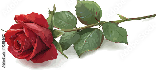 Would you like me to generate an image based on this description?