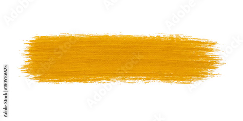 Spaghetti pasta on white background