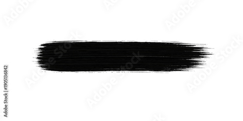 Set of black paint brushes and makeup tools with bristles isolated on a white background for art and beauty equipment