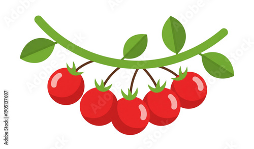 A vibrant illustration of a cluster of red tomatoes on a green stem