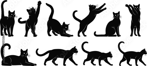 Set of black cat silhouettes featuring diverse feline poses including stretching, jumping, walking, and sitting for pet animal logo and halloween graphic design.