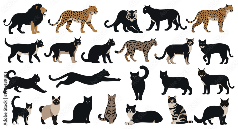 Obraz premium Universal Cat Silhouettes Collection Vector