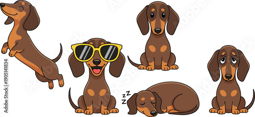 Cute cartoon dachshund dog character set with different emotions including happy jumping sitting sleeping wearing sunglasses and sad expressions isolated on white background vector illustration