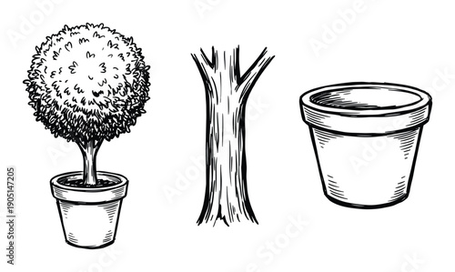 Hand drawn topiary tree in pot and tree trunk illustration on white background