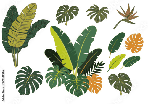 set of green leaves, Minimal tropical monstera and palm leaves silhouette collection. Modern botanical vector elements isolated on white for logo, pattern and branding.