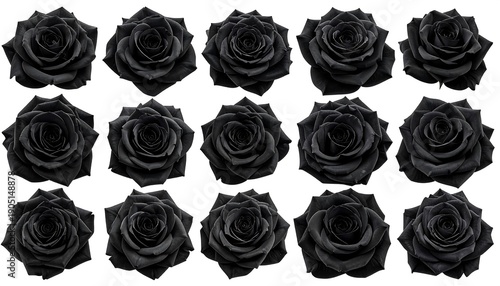 A Collection of Fifteen Dark Black Roses Arranged in a Grid Pattern.