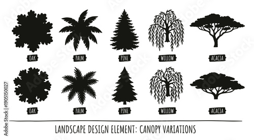 Landscape design elements with canopy variations, oak, palm, pine, willow, and acacia trees silhouettes, black and white elements.