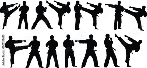 Martial arts karate silhouette collection, fighter kicking punching poses, combat training, self defense action, black vector illustration, sport discipline strength