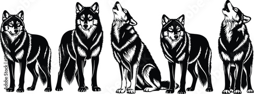 Black and white wolf illustration set with howling and standing poses for wildlife logo, tattoo and branding designs