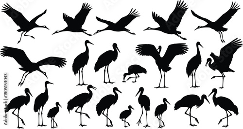 Crane and heron bird silhouette vector set with flying and standing poses, black waterbird illustration collection isolated on white background