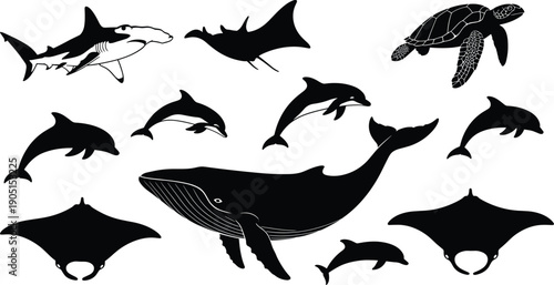 Marine wildlife silhouette collection with whale dolphin shark manta ray and sea turtle vector illustration set for design projects