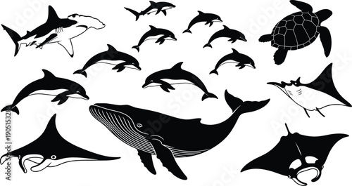 Marine wildlife silhouette collection with whale dolphin shark manta ray and sea turtle vector illustration set for design projects