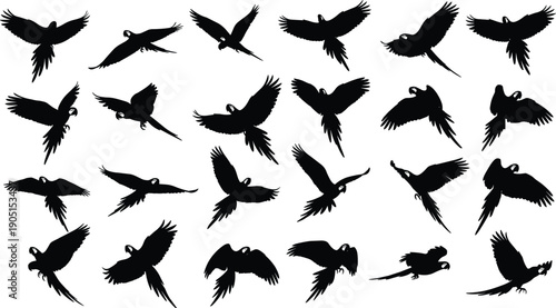 Black flying parrot silhouette collection with multiple macaw bird poses isolated vector wildlife illustration set for graphic design