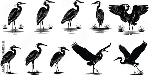 Black heron bird silhouettes collection with standing and flying poses vector wetland wildlife illustration set isolated on white