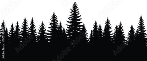 Black pine forest silhouette with tall evergreen trees vector landscape background for banner header and nature design projects