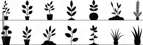 Minimal plant silhouette collection with potted and garden plants, botanical vector icons set, black nature elements isolated white