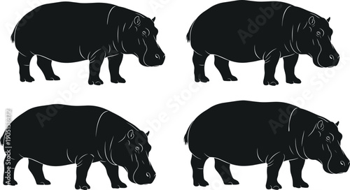 Detailed hippo silhouette set isolated on white background, wild african animal vector illustrations, hippopotamus profile silhouettes for nature conservation design.