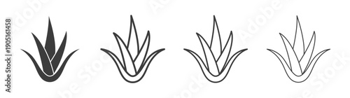 Aloe vera icon. flat stroke linear simple trend modern logotype design