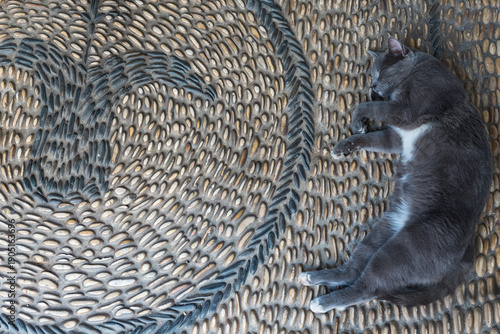 grey cat sleeping on a decorative pebble mosaic pavement, a common feature in Mediterranean regions