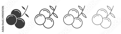 Juniper icon. flat stroke linear simple trend modern logotype design