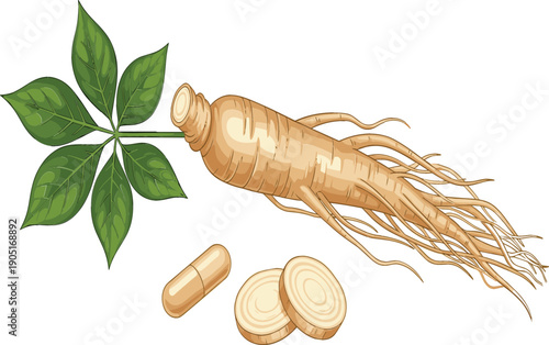 Ginseng Root with Green Leaves, Slices, and Capsule Form Herbal Medicine Ingredient Vector Illustration Isolated on White