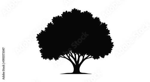 A stark silhouetted image depicts a full rounded tree against a plain white background showcasing its form