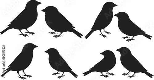 Silhouettes of Six Small Birds Perched on an Invisible Surface Keywords: bird, birds, silhouette, black, white, perched