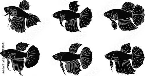Betta fish silhouette set, black Siamese fighting fish shapes collection, isolated aquarium aquatic vector illustration, decorative ornamental fish stencil icons