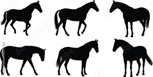 Black horse silhouettes set, realistic equine walking standing poses isolated on white background, farm livestock animal vector illustration collection premium