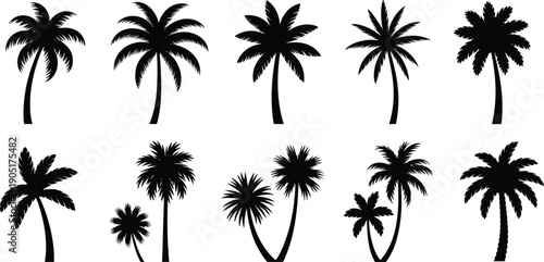 Collection of tropical palm tree silhouettes set, black vector isolated icons, exotic beach botanical elements for summer coastal landscape design bundle decorative illustration