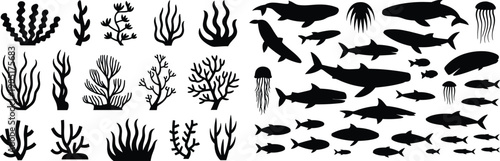 Marine life silhouette collection, coral reef, fish, sharks, dolphins, jellyfish black shapes set, underwater wildlife vector illustration, ocean stencil icons