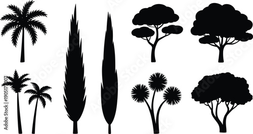 Mixed tropical palm, cypress and ornamental tree silhouettes collection, botanical landscape forest trees vector set isolated, decorative nature illustration design element pack