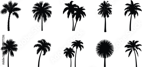 Set of tropical palm tree silhouettes collection, black vector botanical icons isolated, exotic beach landscape elements for summer coastal design illustration