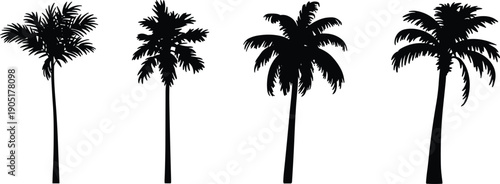 Tropical palm tree silhouettes set, black vector botanical collection isolated on white background, exotic beach landscape elements for summer coastal illustration