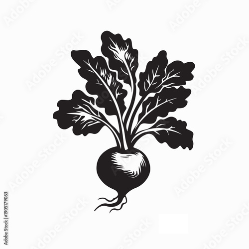 Radish Plant with Leaves Vector Design Illustration for Fresh Organic Vegetable Branding