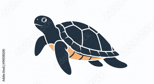 A cute cartoon turtle with a dark blue shell and orange underbelly swims in a white background