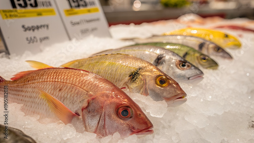 Freshwater Fish Displayed on Ice for Food Market