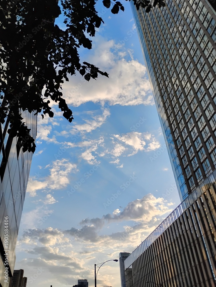 Naklejka premium Toronto, Ontario, Canada - June 21, 2025: Downtown Toronto skyline looking upward