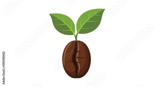 Single roasted coffee bean with two green leaves sprouting from the top side isolated on a clean white background.