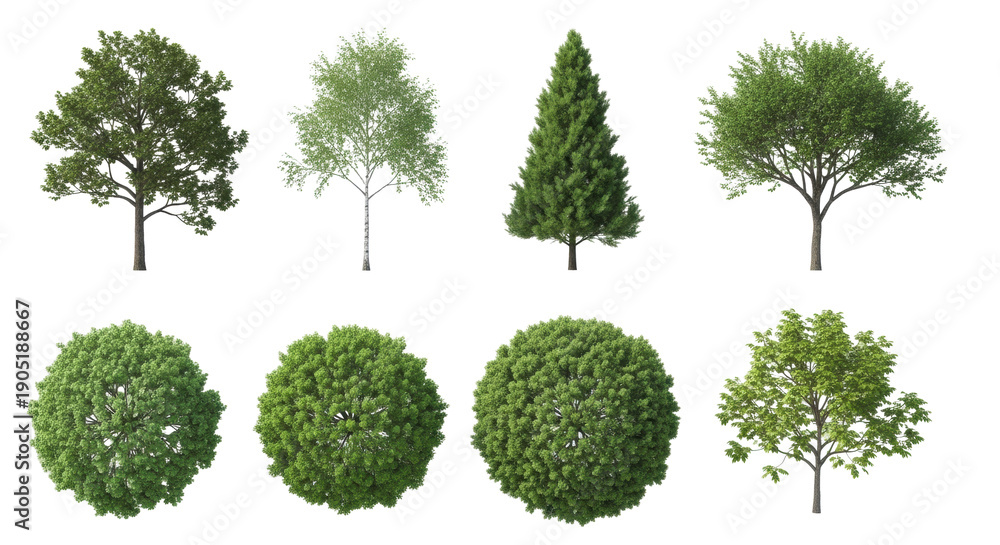 Fototapeta premium Six diverse, photorealistic trees (oak, maple, evergreen) with textured brown trunks and vibrant green foliage, isolated on transparent. composite of eye-level and aerial views. concept for