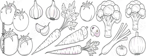 Hand drawn vegetables outline vector illustration set featuring tomatoes carrots broccoli onions and fresh garden produce collection
