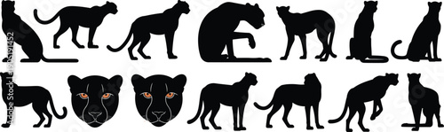 Black panther silhouette collection showing wild big cat poses and faces, vector illustrations for wildlife, nature, predator, and animal design projects