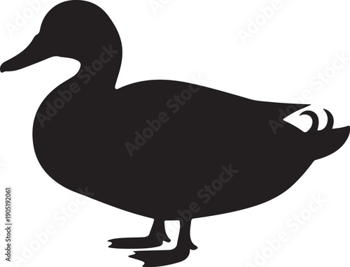 Black Silhouette Duck Standing on Ground bird