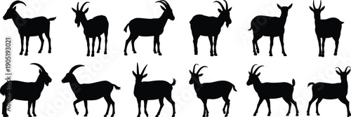 Goat silhouette collection showing horned farm animals in multiple poses, black vector illustrations for agriculture, livestock, rural, and nature designs