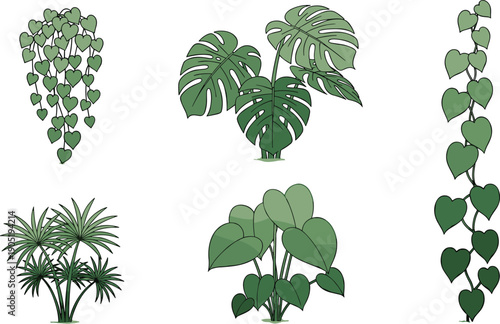 Collection of green tropical houseplant illustrations including monstera deliciosa palm and climbing ivy vines isolated on white background for nature decor