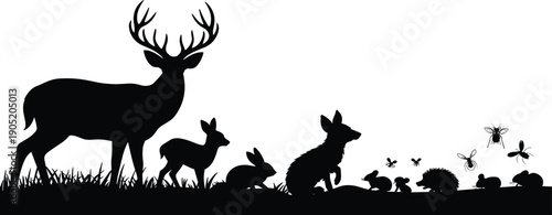 Forest animal silhouettes, woodland wildlife vector, deer and rabbit illustration, fox and hedgehog art, butterfly and bee design, nature scene graphic, outdoor creature artwork