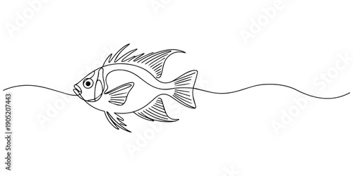 damselfish continuous one line drawing, damselfish icon line art vector illustration on transparent background, damselfish outline illustration, Damselfish Line Art Illustration, Tropical Fish vector.